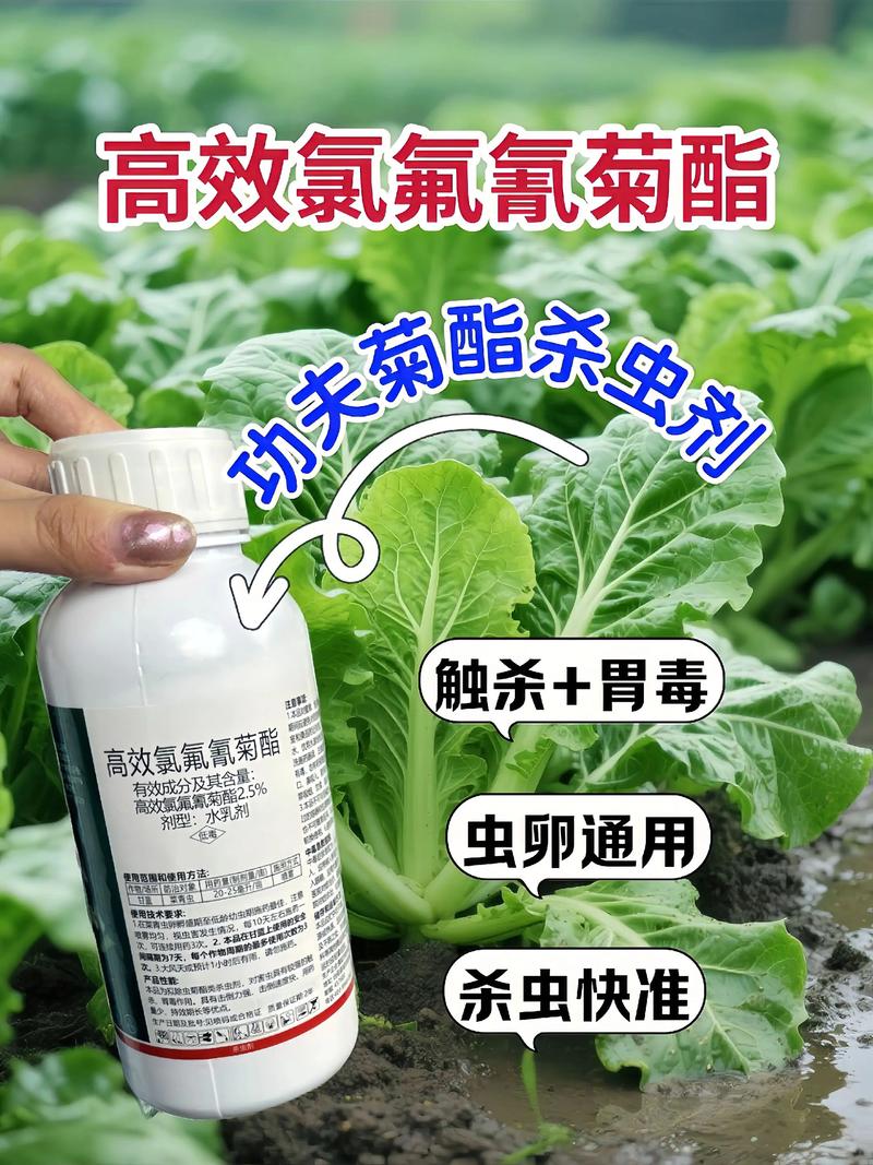 江苏代生中心:农药对供卵代生妈妈的危害